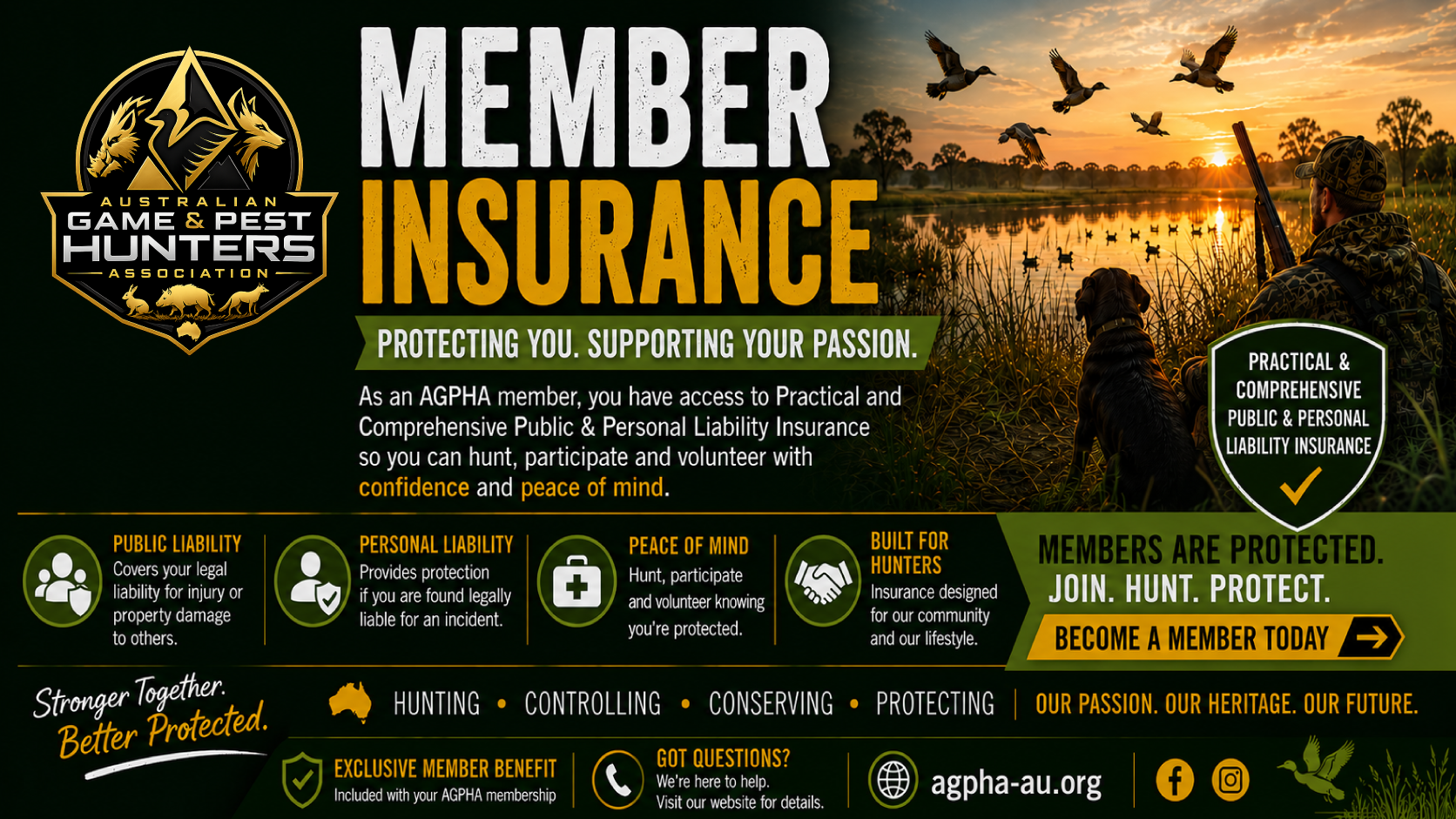 insurance